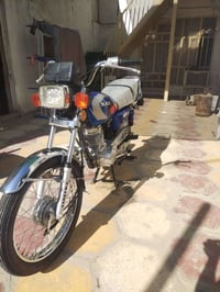 موديل 25-26 • أوراق كاملة • الحمزه الغربي