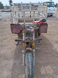 ستوته دايون • شغاله • لطيفيه