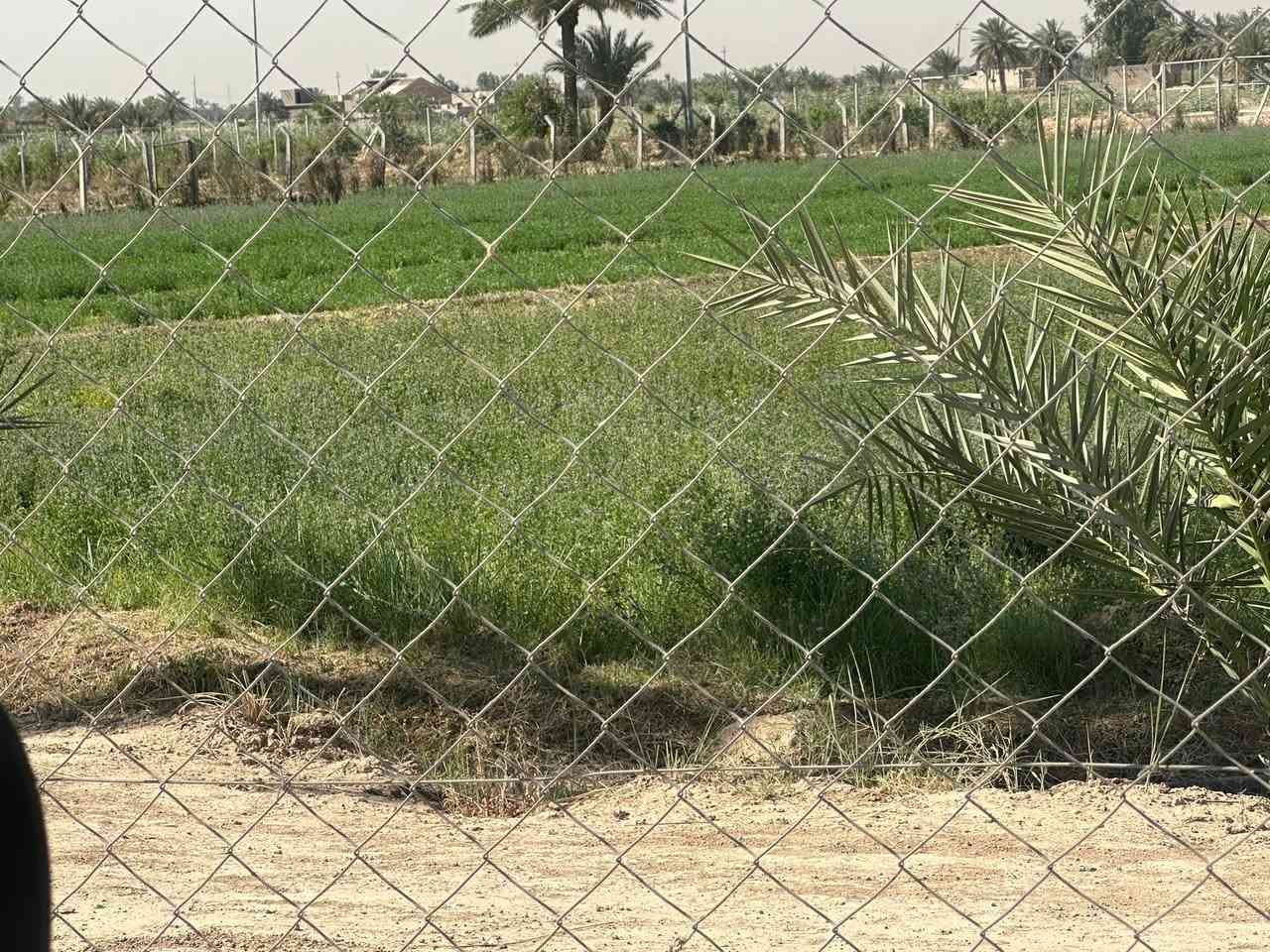 السلام عليكم دوانم طابو صرف ناحية الوحدة خلف الزجاجية بل زيتون عل شارع تبليط واجها٣٣متر كاملا خدمات مي كهرباء 
***********
