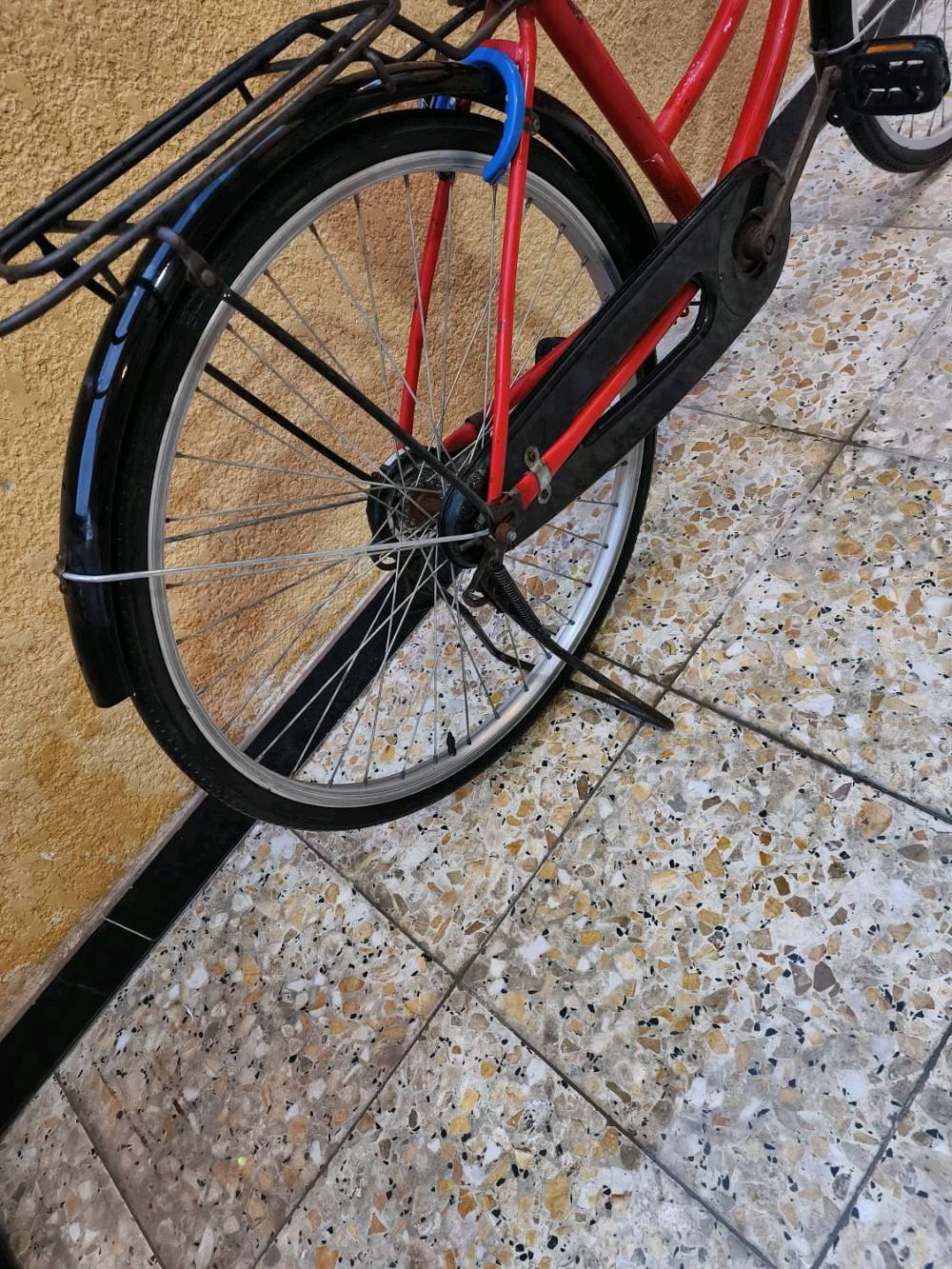 السلام عليكم اخوان بايسكل للبيع سياحي حجم 26 مصبوغ فوك الصبغ مالته البايسكل التايرات جدد الرنكات جدد المداكر جدد الصينيه جديده الكشن جديد البريك شغال القفل شغال كامل امكمل سعره50الف بي مجال 
مكاني بصره صبخة العرب 
رقم ***********