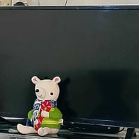 شريحة نت • خاص