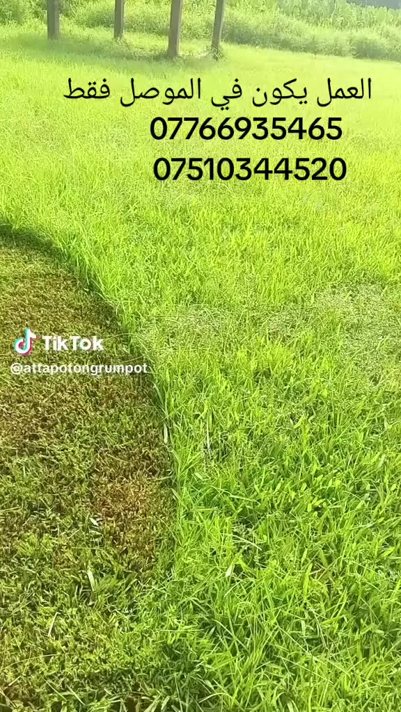 اي احد عندو حدائق بيت اني اشتقلها قص ثيل زرعه ورود وشجار  عمل لاينات الحديقة صف شتايكر او طابوك  تقليم اشجار  تقيم اس وكل ما يتعلق في الحديقه العمل يكون في الموصل فقط جانب الأيمن والايسر لتواصل (***********)(***********)
