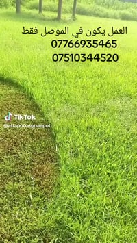 تنسيق حدائق • قص ثيل • الموصل