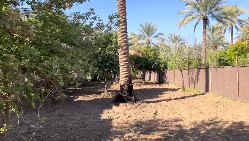 يالله

اخوان جبتلكم عرض حلوو

ربع دونم واجهيه 12

طابو 25 اقرار بسمك وشرط يفتح تحويل تحول بسمك

موقع بغداد الراشديه نزلت المنحل

وطريق مباشر ع مراسمه

تبعد عن مركز الراشديه 4دقايق

تفاصيل اكثر تابع الفيديو

الاستسفار نتصال بل رقم ***********
