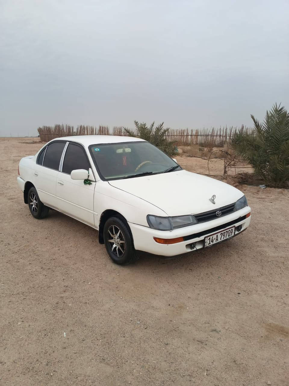 سلام كورلا موديل 93 رقم بصره انكليزي ابسمي سنويه مجدده لل 30 مكفوله من الكص والنقل وضربه القويه مكينه وكير بلكارتون السعر 47وبيه مجال كهربائيات شقاله حداده حلوه طخم مال جناي  تاير مكاني بصره سفوان شراي يتصل على الرقم ***********
