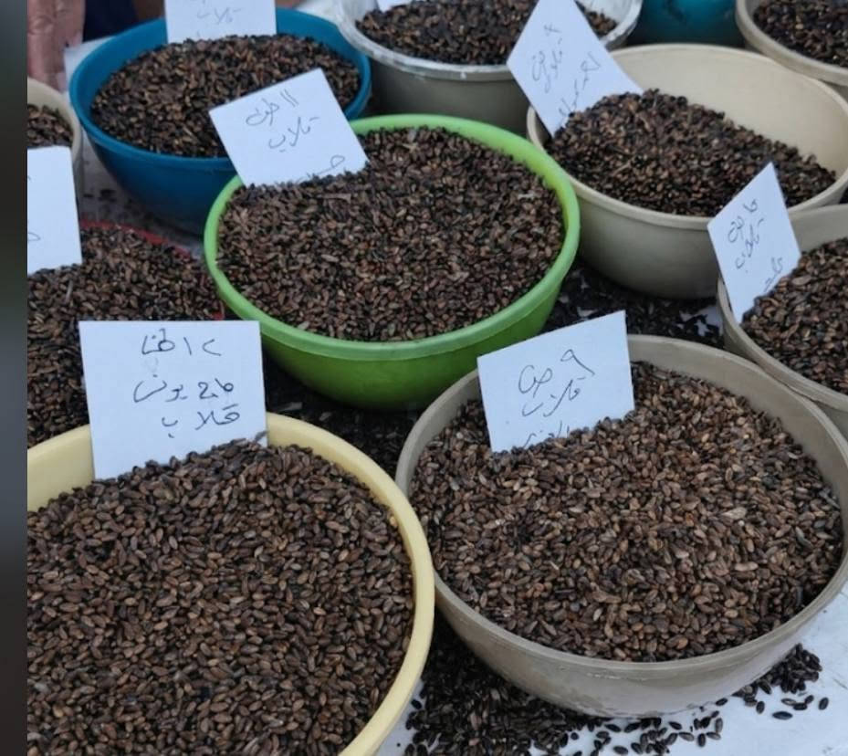 🌾 أسعار المحاصيل الزراعية اليوم 🌾
​نستعرض لكم تحديثاً لأسعار الحنطة والشعير الأسود للطن الواحد:
​🌾 طن الشعير الأسود: 530,000 دينار عراقي
​🌾 طن الحنطة: 320,000 دينار عراقي
​#أسعار_اليوم #الحنطة #الشعير #التجارة_الزراعية #العراق


**إذا كنت صاحب هذا الإعلان وتريد حذفه لأي سبب، رجاءا أرسل رسالة إلى الدعم الفني**
