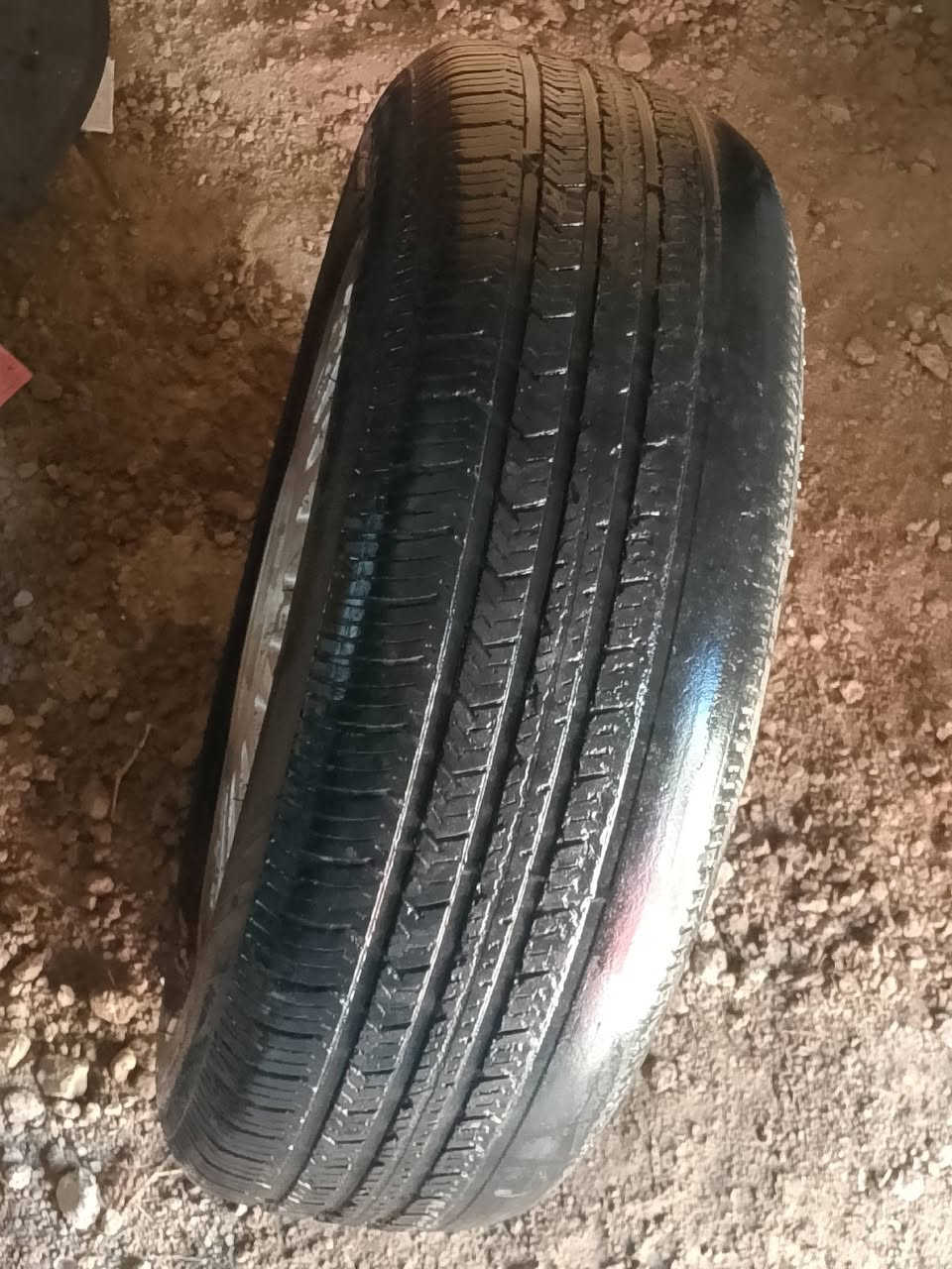 سلام عليكم ويل ملكه للبيع مع بردات  مكان سوق الشيوخ كرمه بني سعيد للاستفسار عله رقم ***********
