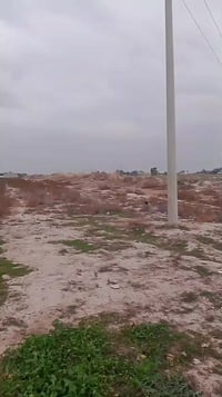 ٢٠ دونم • ملك صرف • التاجي هور الباشا