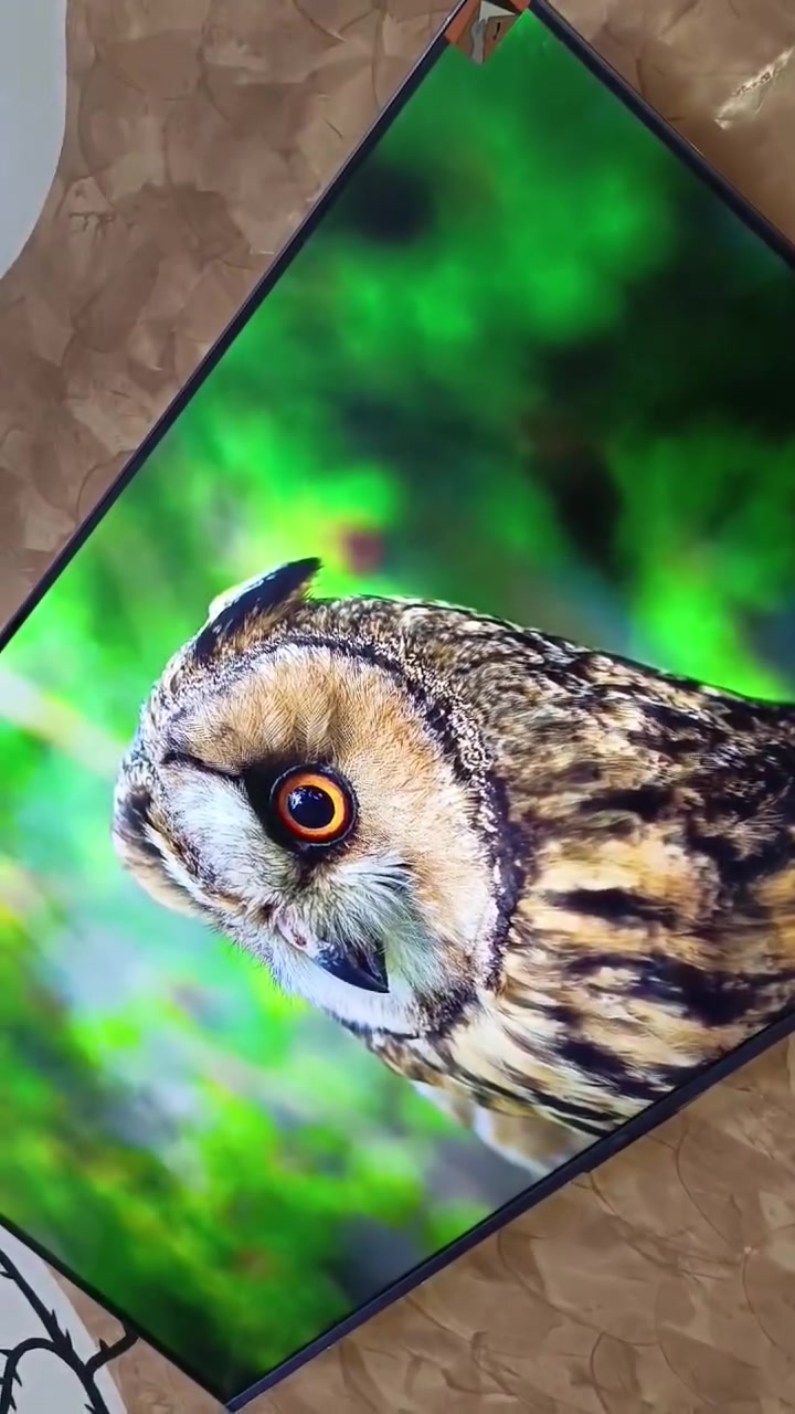 TCL C6K. 144Hz 4k 2160


**إذا كنت صاحب هذا الإعلان وتريد حذفه لأي سبب، رجاءا أرسل رسالة إلى الدعم الفني**
