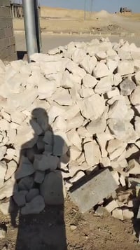 حجر مكسر • ١٥م • العبيدي الزهور