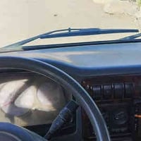 كيا حمل ام عيون قماره وربع قلاب للبيع موديل 2001 رقم بغداد سنويه 2030 ...