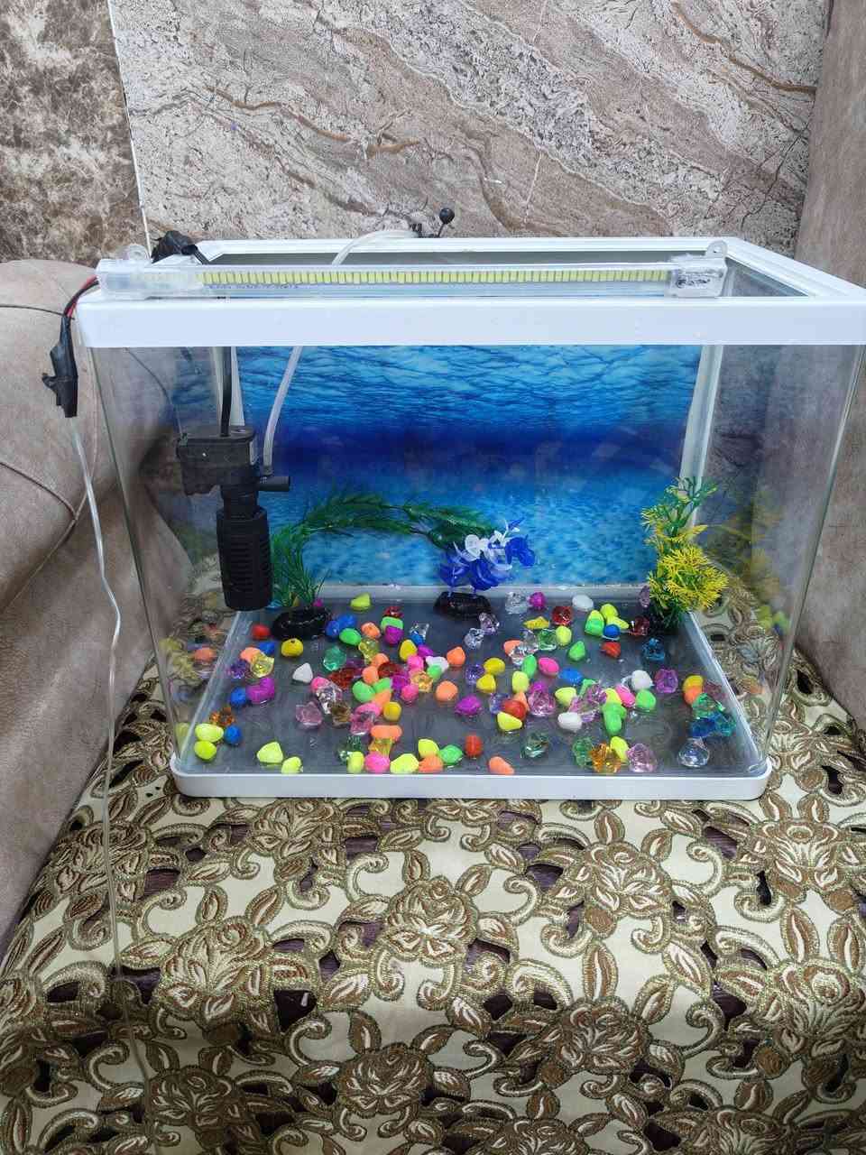 حوض سمك مع ملاحقته كامل وجاهز من كلشي بدون سمك السمك نباع مكانه نجف حي الجامعه السعر 30 مجاله بسيط  قياس 45تقريبا


**إذا كنت صاحب هذا الإعلان وتريد حذفه لأي سبب، رجاءا أرسل رسالة إلى الدعم الفني**