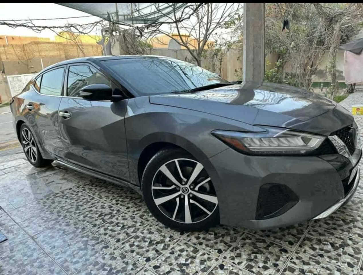 نيسان مسكيما 2021 sv
ماشيه54 
بصمه كشنات جلد 
كشنات تدفئه 
رادار
محرك 6 
سياره جديده حادثها جاملغ وبنيد سونار بل منشور 
السعر 160 وبيها مجال 
مكانها ديوانيه


**إذا كنت صاحب هذا الإعلان وتريد حذفه لأي سبب، رجاءا أرسل رسالة إلى الدعم الفني**