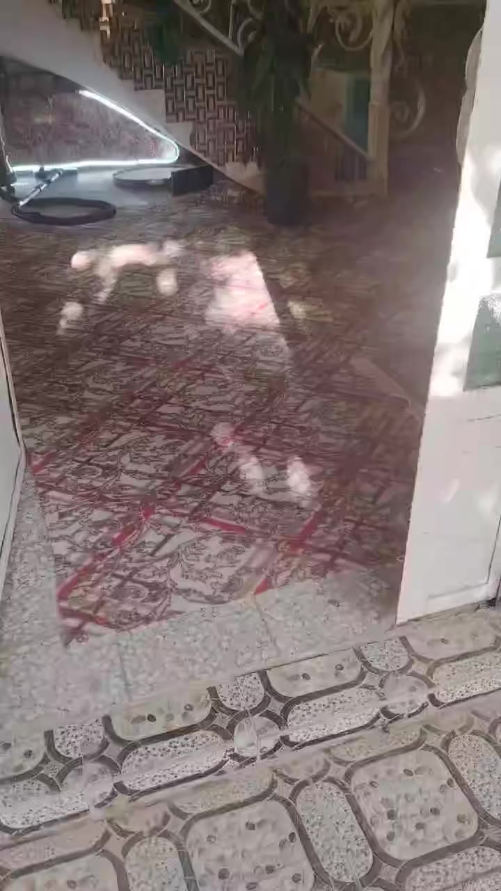 #للبيع
بيت في عفك – زراعي (العيبي) شارع المولده  شارع سبيس والبيت ركن 
المساحة: 310 متر
البيت نظيف ومرتب وجاهز للسكن 👌
🔹 الطابق الأرضي:
غرفتين + استقبال + صالة + صحيات
🔹 الطابق الثاني:
غرفة + صالة
للاستفسار مراسلة الصفحه 📩 @إشارة


**إذا كنت صاحب هذا الإعلان وتريد حذفه لأي سبب، رجاءا أرسل رسالة إلى الدعم الفني**