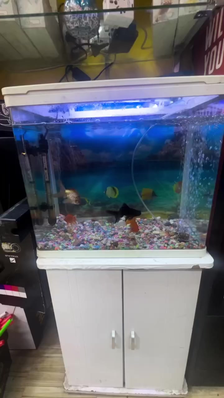 كامل  للبيع 85الف شراي تعال خاص اخذه مشراي لتعلق


**إذا كنت صاحب هذا الإعلان وتريد حذفه لأي سبب، رجاءا أرسل رسالة إلى الدعم الفني**