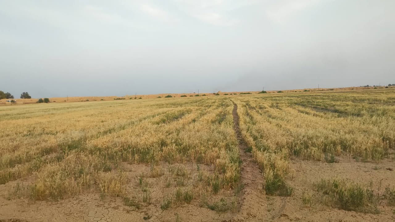 أرض زراعية للبيع المساحه 40 دونم صالحه للزراعه 

الاستفسار اتصل على هذا الرقم ***********

في بابل ناحية الشوملي
