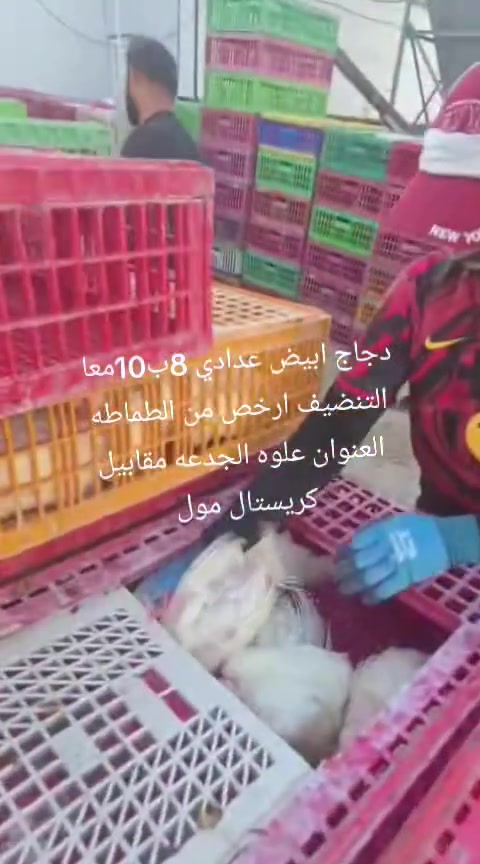 ارخص من الطماطه 8ب10معا التنضيف العنوان علوه الجدعه مقابيل كريستال مول


**إذا كنت صاحب هذا الإعلان وتريد حذفه لأي سبب، رجاءا أرسل رسالة إلى الدعم الفني**
