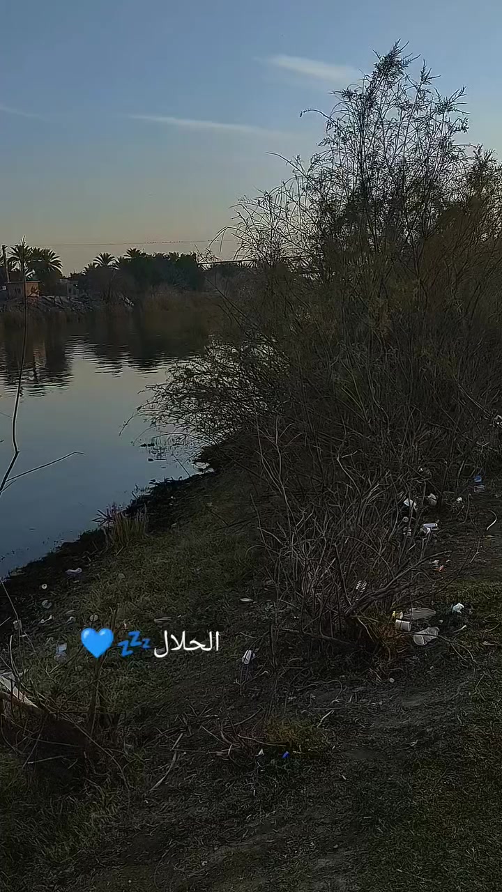 سلام عليكم دراجه للبيع تعمير شاصي اوراق موديل ١١ غراض كلهه جديد مكينه انتنس شرط المعدل والفصله مكينه نشطه نصبه الدراجه تخبل للبيع وترهم مراوس بكامله مكاني الاسكندريه ***********
