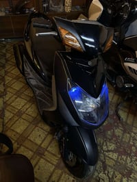 سكنس فحل نوزل خطين مكفوله كفاله عامه السعر 950 وبيها مجال 07724774510