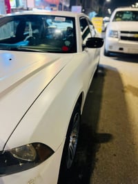 جانجر • ٢٠١٣ • رقم اربيل