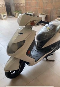سكنس فحل • نضيفه • ٢٠١٩