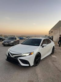 فول • ٢٠٢٤ • ٥ قطع صبغ