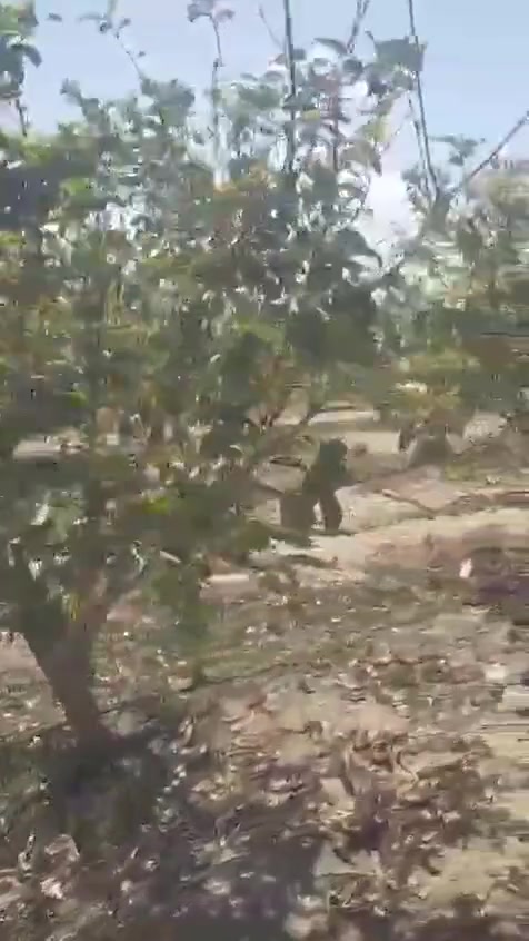 السلام عليكم ورحمه الله وبركاته معنه 5 فدان منهم 4فدان ملك وفدان وضع يد  يوجد فيه بئر نسبة الملوحة المياه 900 طاقه شمسيه للري وكهرباء ممارسه للبيوت بها 2منزل سقف خشب فى الوادى النطرون تبعد عن قرية الحمراء 2 كيلو سعر الفدان 600الف لتواصل 01220815447/01094843213


**إذا كنت صاحب هذا الإعلان وتريد حذفه لأي سبب، رجاءا أرسل رسالة إلى الدعم الفني**