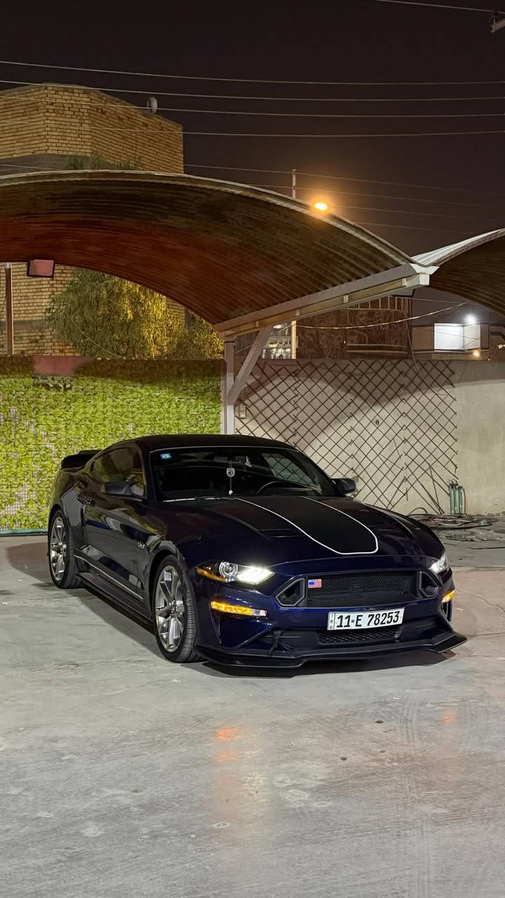 #من_انظف_الجيتيات ✅
[ الي يدور سيارة ستوك وحادث بسيط ] ‼️

فورد موستنك ( GT Full Digital) 🔥 
الموديل : [ 2019 ]
المحرك : [ V8 / 5.0 ] 💥
الگير : [ اوتوماتيك - 10 Speed]
الممشى : [ 30 الف كيلو يعني جديدة سيارة ]
اللون : [ جويتي - مميز ] 🍒 
الحالة : [ دعامية خلفية فقط باقي سيارة كفالة
صور الحادث بالمنشور ] ✅

[ الـــــمـــواصــفـــــات ]

•  عداد ديجتل 
•  شاشة كبيرة [ كار بلي ] 
•  رادار امامي + جانبي + خلفي 
•  سستم سماعات 

•  كشنات جلد كهربائية + تدفئة وتبريد
•  دشبول اللوان متغير 
•  شيفتات ستيرن 
•  3 مودات : سبورت - تراك - دراك
•  تشغيل عن بعد 
•  ويل 20 

الموقع : [ البصرة 🌴] 📍

للتواصل واتس اب او اتصال :
 [ اتصال/ *********** ]
[ واتس اب/ *********** ]
