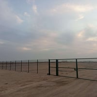 مزرعة متكاملة  7 دونم سياج نموذجي بوابة عريضة شارع محدول وساتر ترابي  ...