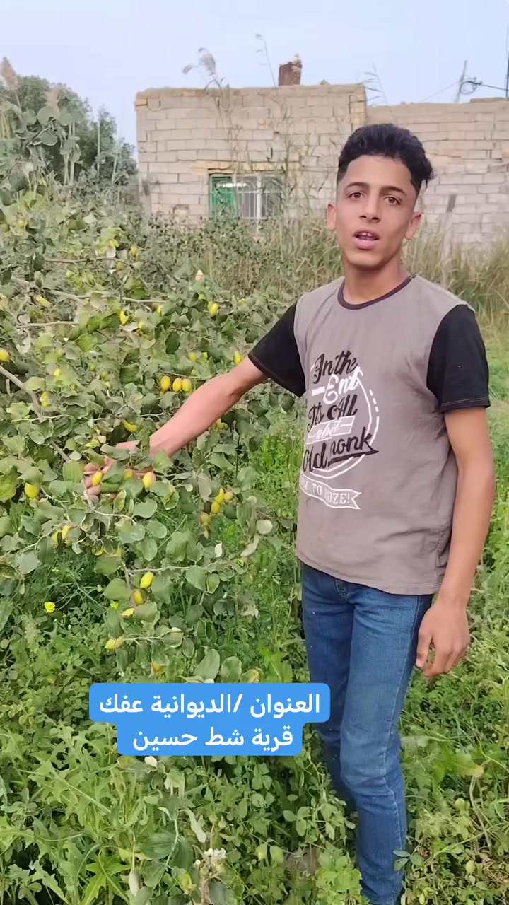 للثواب


**إذا كنت صاحب هذا الإعلان وتريد حذفه لأي سبب، رجاءا أرسل رسالة إلى الدعم الفني**