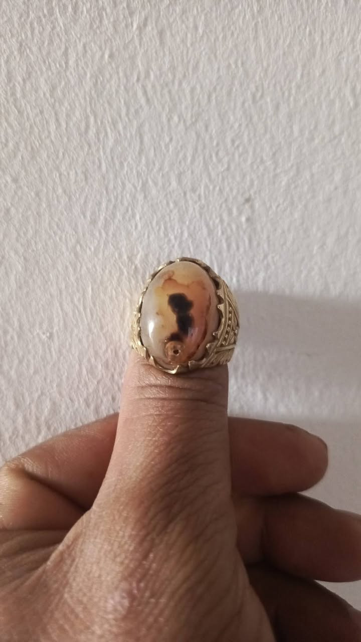 متاح سليماني مصور الصياغه نحاس


**إذا كنت صاحب هذا الإعلان وتريد حذفه لأي سبب، رجاءا أرسل رسالة إلى الدعم الفني**