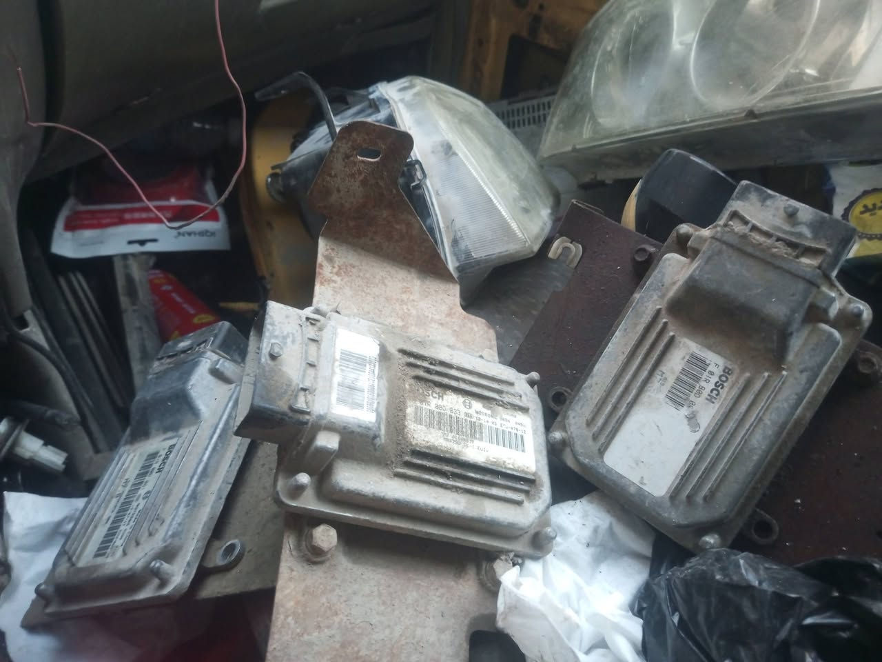 عقل شيري كوين للبيع مكاني بالاعظمية بالسفينة ***********==***********==الثاني وتساب
