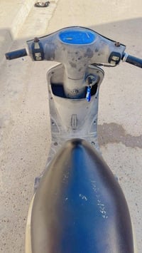 ماكس منغولي • كفالة عامة • بغداد العبيدي