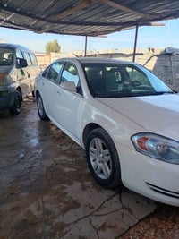 امبالا • ٢٠١١ • ديالى