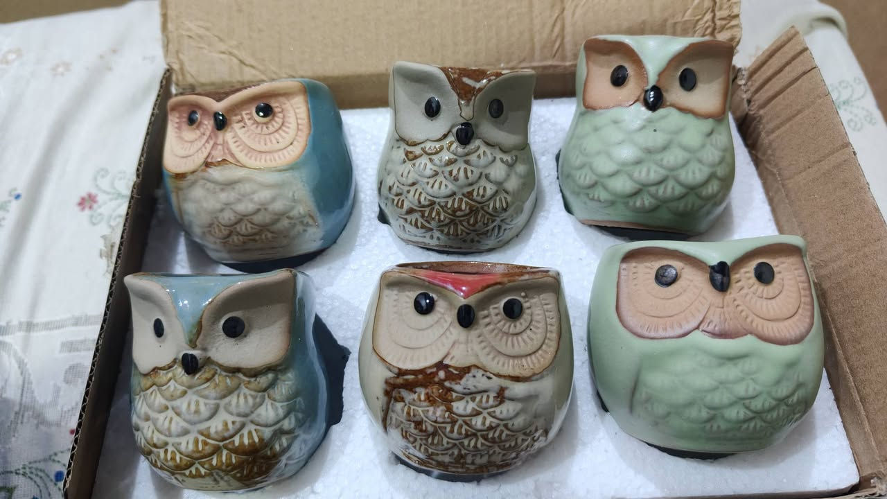 #سندان_سيراميك_بومة🦉🦉


**إذا كنت صاحب هذا الإعلان وتريد حذفه لأي سبب، رجاءا أرسل رسالة إلى الدعم الفني**