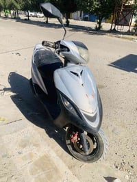 ماكس ثعلب • مستعجل • سلف
