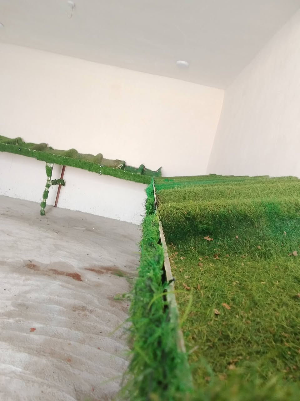 اميوز امخضر للبيع رقم الهاتف ***********
