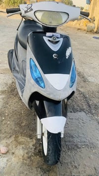 ماكس منغولي • مفتوحه • لايت زنون