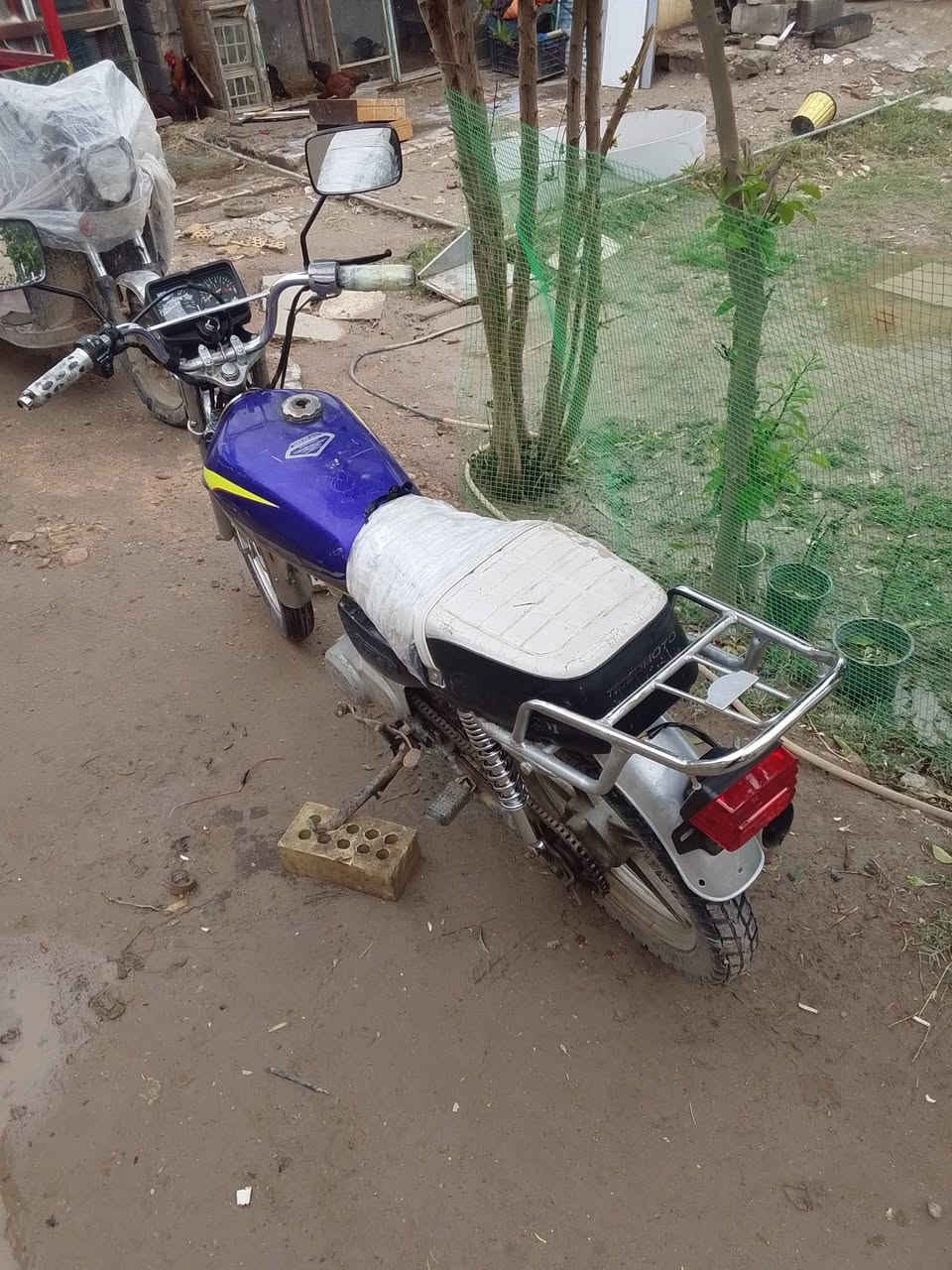 اسلام عليكم اخواني الاعزاء درجه تايكر اربعه كير حلوه شغاله فول تخم تأير محرك ١٥٠بس نقص لايت أوراق سكنر ثلاث أوراق السعر 400الف قفل العنوان أبو غريب ستفسار تصل ***********
