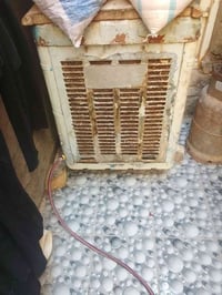 مبرده وسط • شغاله