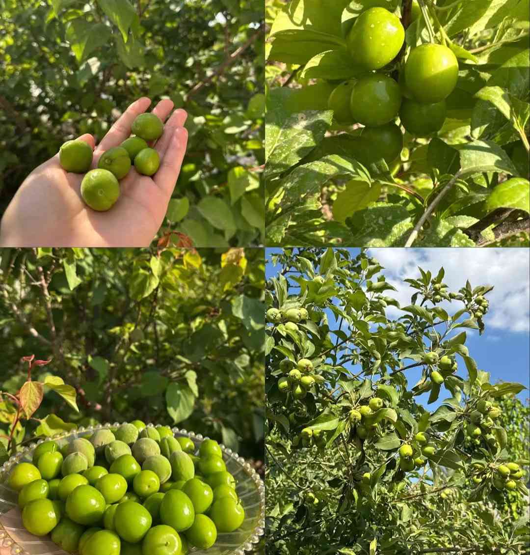 متوفر حجز 
الاربعاء نهاري / ليلي 
الخميس نهاري / ليلي 
الجمعه نهاري / ليلي
السبت نهاري / ليلي 
***********
العنوان قضاء بلد / مدخل واحد
