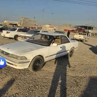 أبيض • القيارة • بيها مجال