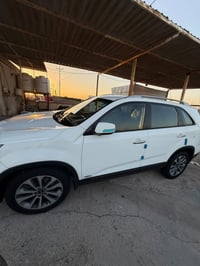 سونرتوا • ٢٠١٤ • ٧ راكب
