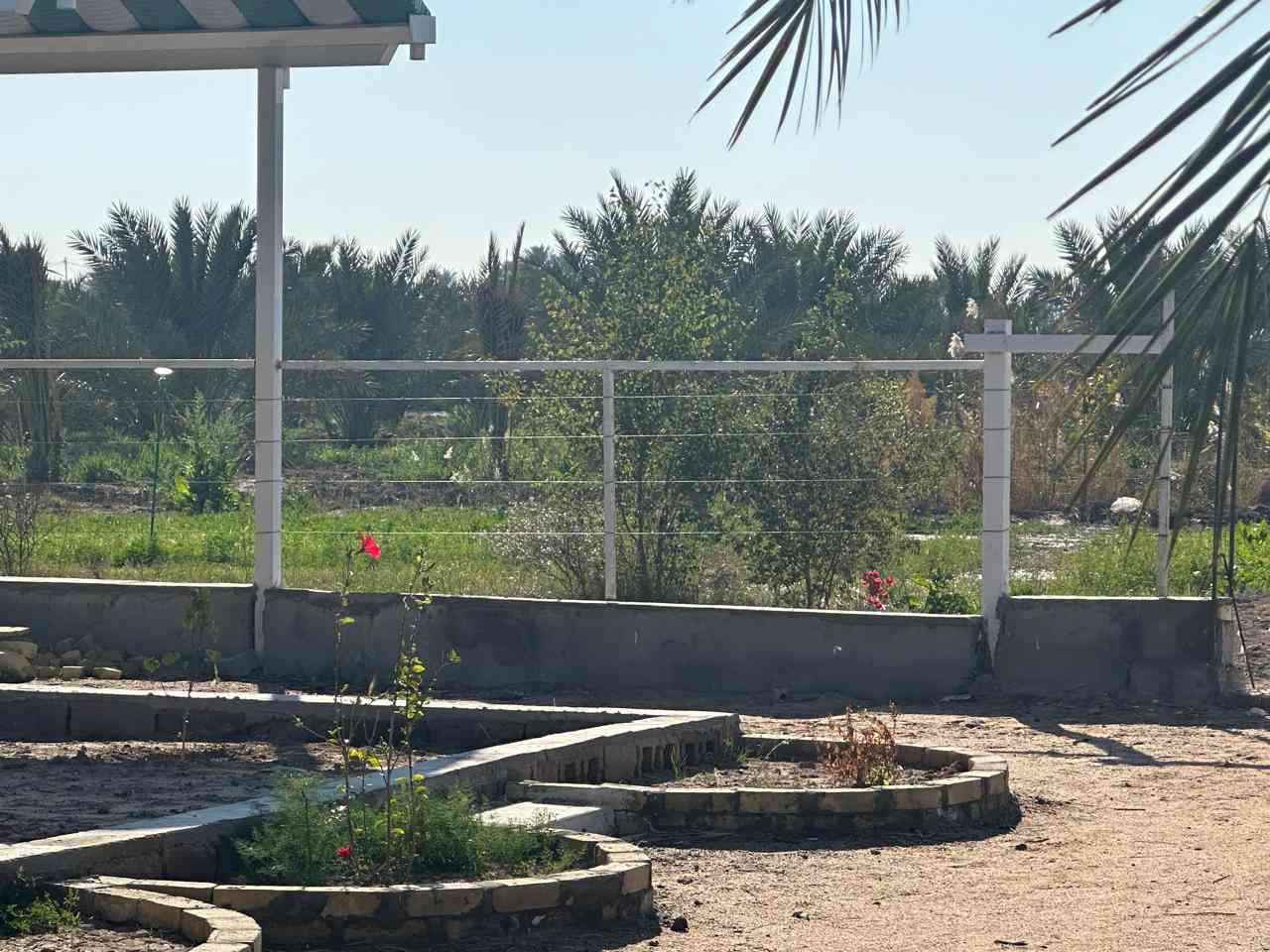 13 دونم  بستان 
 السعر 50 مليون الدونم 
الواحد جنس العقار طابو زراعي مفوض ابسم عراقي العنوان البصره كتيبان
*********** البصرة, العراق
