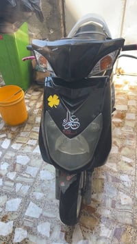 سكنس فحل • نضيفه • كاطعه زنجيل