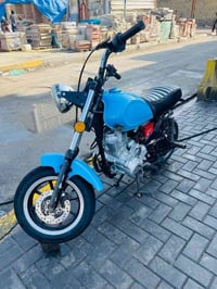 بصرة معقل • ٦٠٠ • قفل