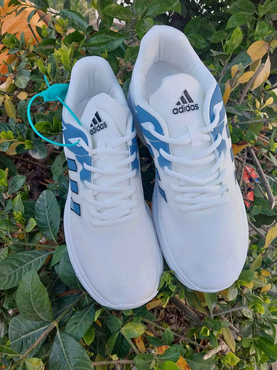 اديداس اندوسي غير مستخدم  الوزن صفر السعر ٣٠ الف
القياس 44


**إذا كنت صاحب هذا الإعلان وتريد حذفه لأي سبب، رجاءا أرسل رسالة إلى الدعم الفني**