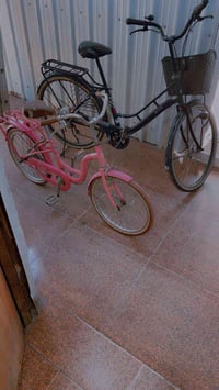 باسكل وردي • ياباني اصلي • شارع فلسطين