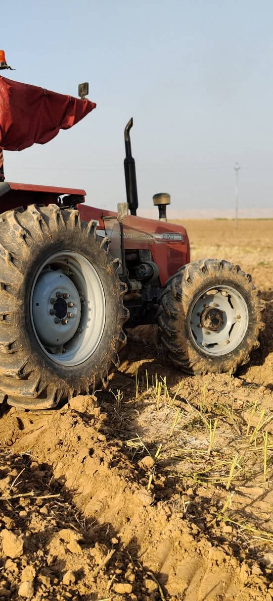 سلام عليكم... للبيع مگينه نووع برازيلي  حجم 440.موديل 2006.المكينه كتاب شركه مدون رقم المكينه مجفته قبل شهر ولباقي گله شركه هيه ومعداته خرماشه +فدان ثلاثي حجم 12+هولدر قبل فتره اخذته ول شراي يتصل مگلف بل نشر ***********///***********...مكان. دوز
