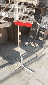 استاند قفص للبيع
وقفص قطط وكلاب هم للبيع 
قيم وخذ 
مكاني بغداد حي الاعلام 
تفاصيل اكثر خاص او تصل *********** وبي واتساب
